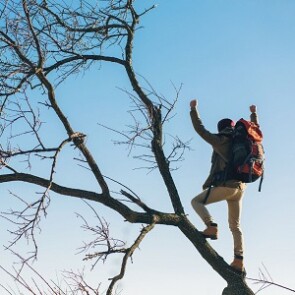 De Ítalo Calvino – O Barão nas Árvores