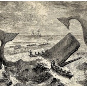 “Moby Dick” - Uma abordagem junguiana do livro de Herman Melvillle