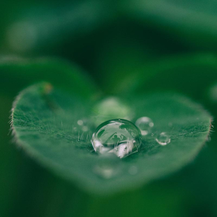 Programa Mindfulness e Compaixão para Saúde MBPM de Respira Vida Breathworks