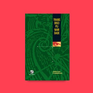 Transdisciplinaridade