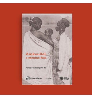 Amkoullel, o menino fula