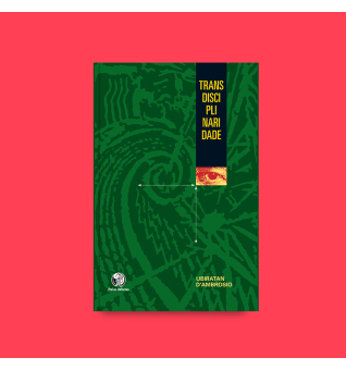 Transdisciplinaridade