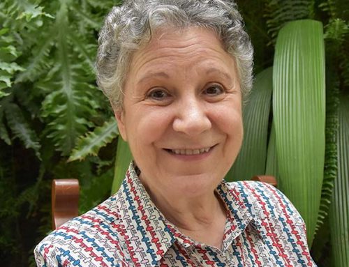 Entrevista da profa. Lia Diskin para Revista Conexão Literatura