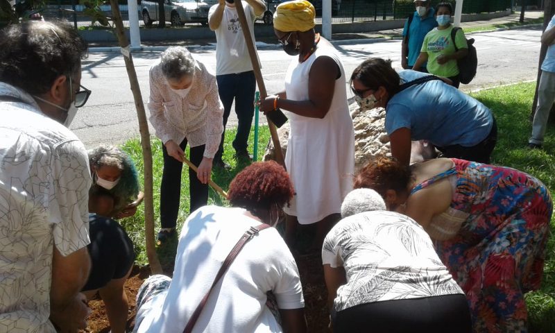 a paz é verde – 35